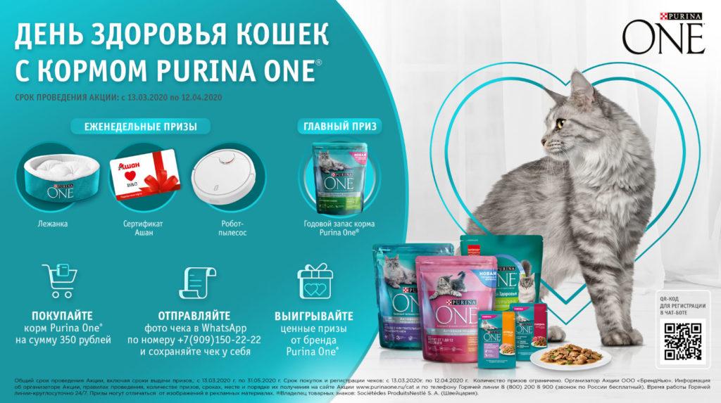 Акция Nestle в Ашане «Purina One. День здоровья кошек»